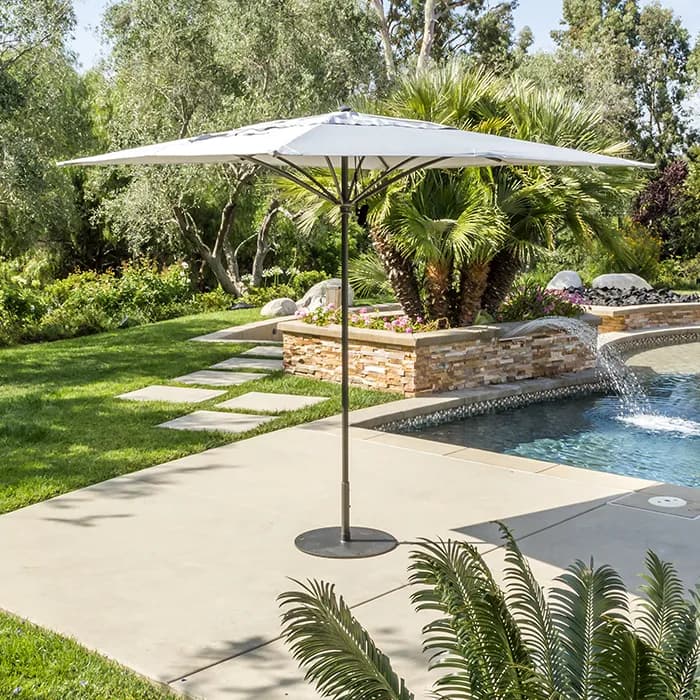 Trace Umbrella