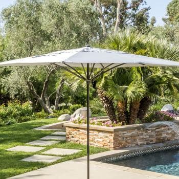 Trace Umbrella