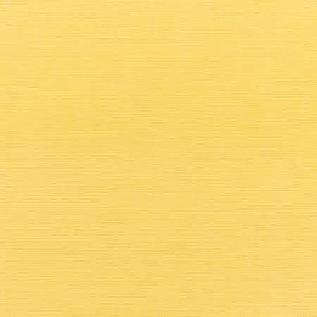 Canvas Buttercup