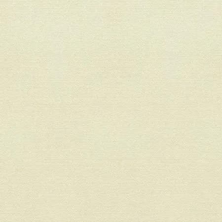 Canvas Canvas