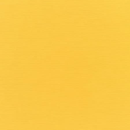Canvas Sunflower Yellow