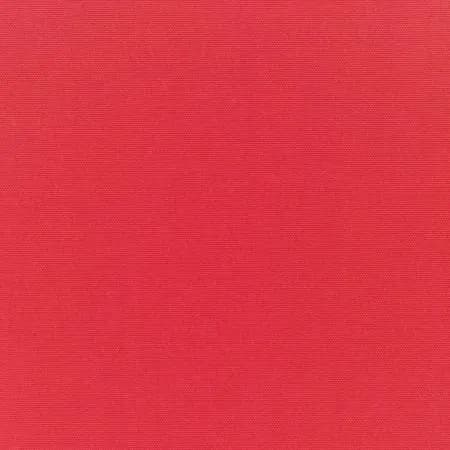 Canvas Logo Red