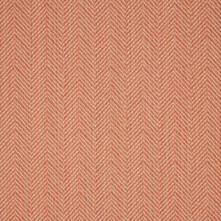Posh Coral