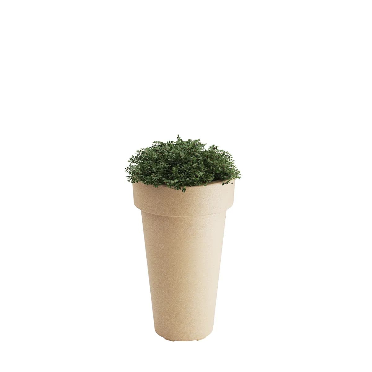 Planter, Large, Tera