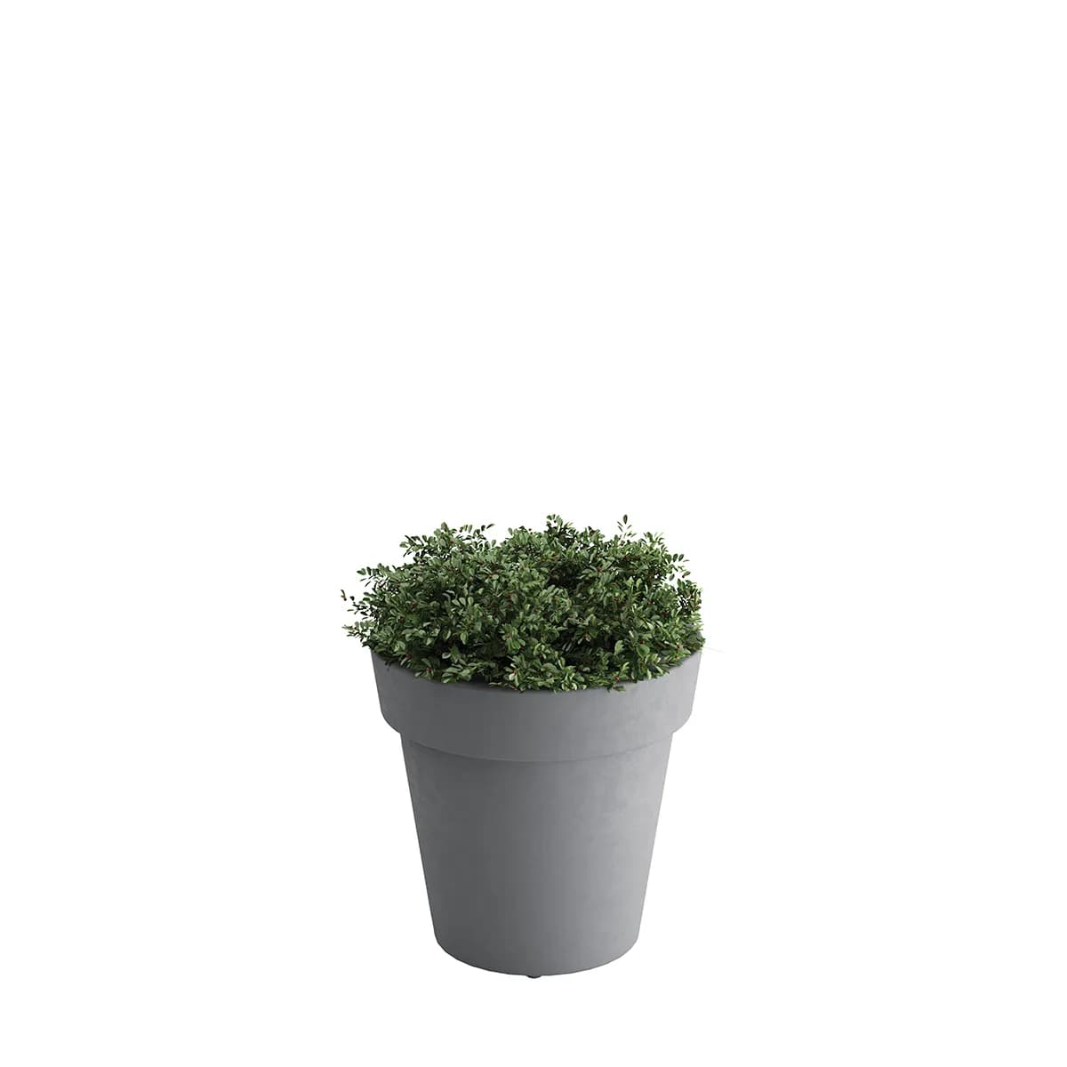 Planter, Small, Tera