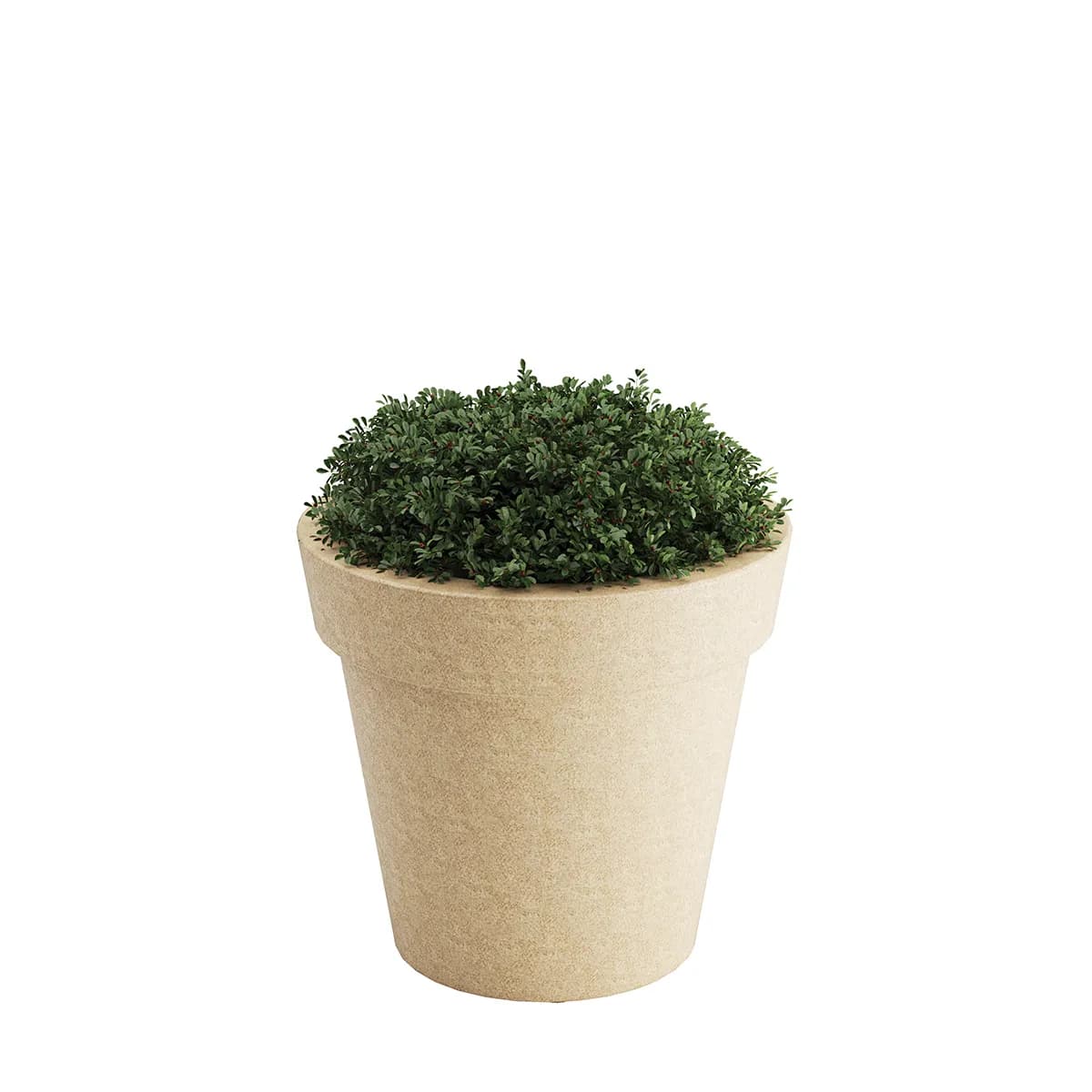 Planter, XLarge, Tera