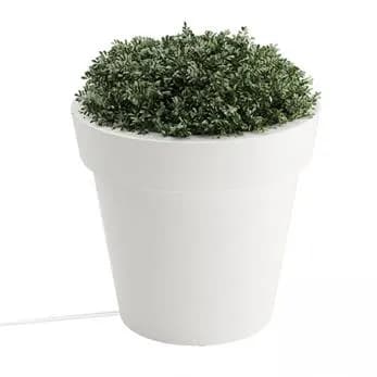 PLANTER, LED, MEDIUM, TERA