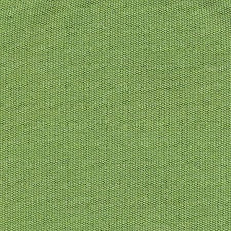 Canvas Ginkgo