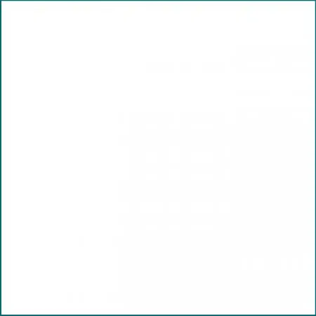 Snow Vinyl Segment