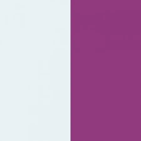Bright White | Bright Fuchsia
