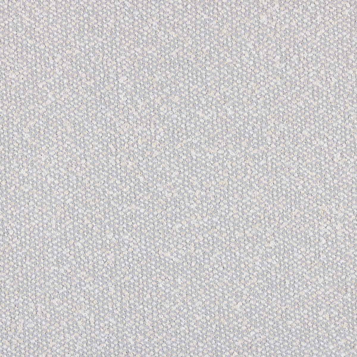 Chinchilla Storm