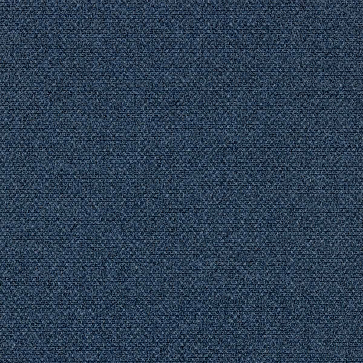 Muscle Beach Navy